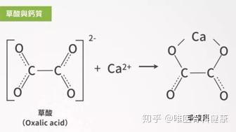 骨质疏松喝咖啡有影响吗 v2-b502d00a4aa1073f58b67fa9439603ca_b.jpg