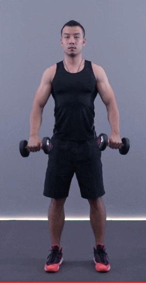 肘部微屈,呼气的同时,使用肩部的力量将哑铃缓缓向身体前方平举,不要