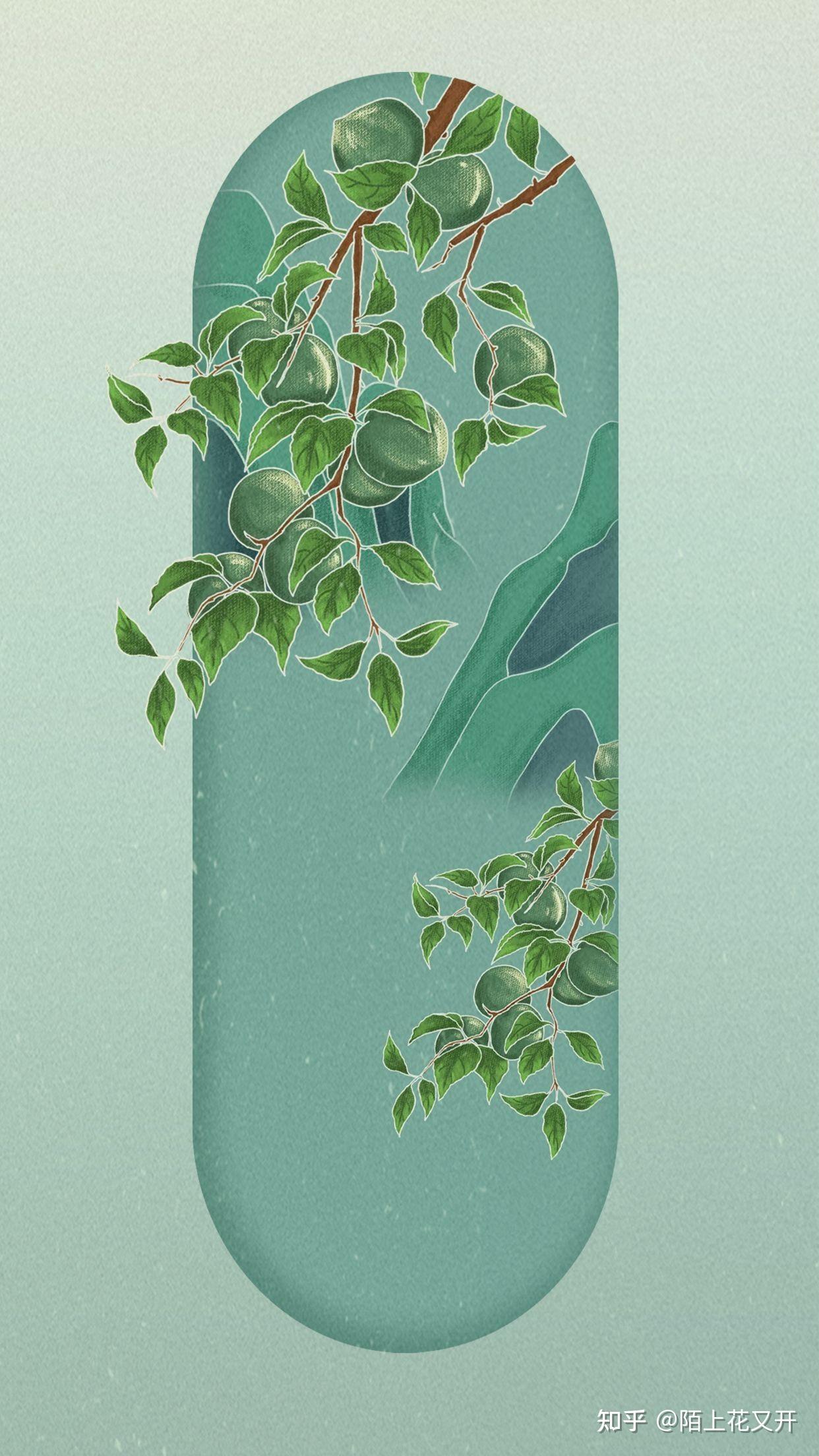 小满手绘插画海报|背景素材|中国风海报|小清新手机壁纸 - 知乎