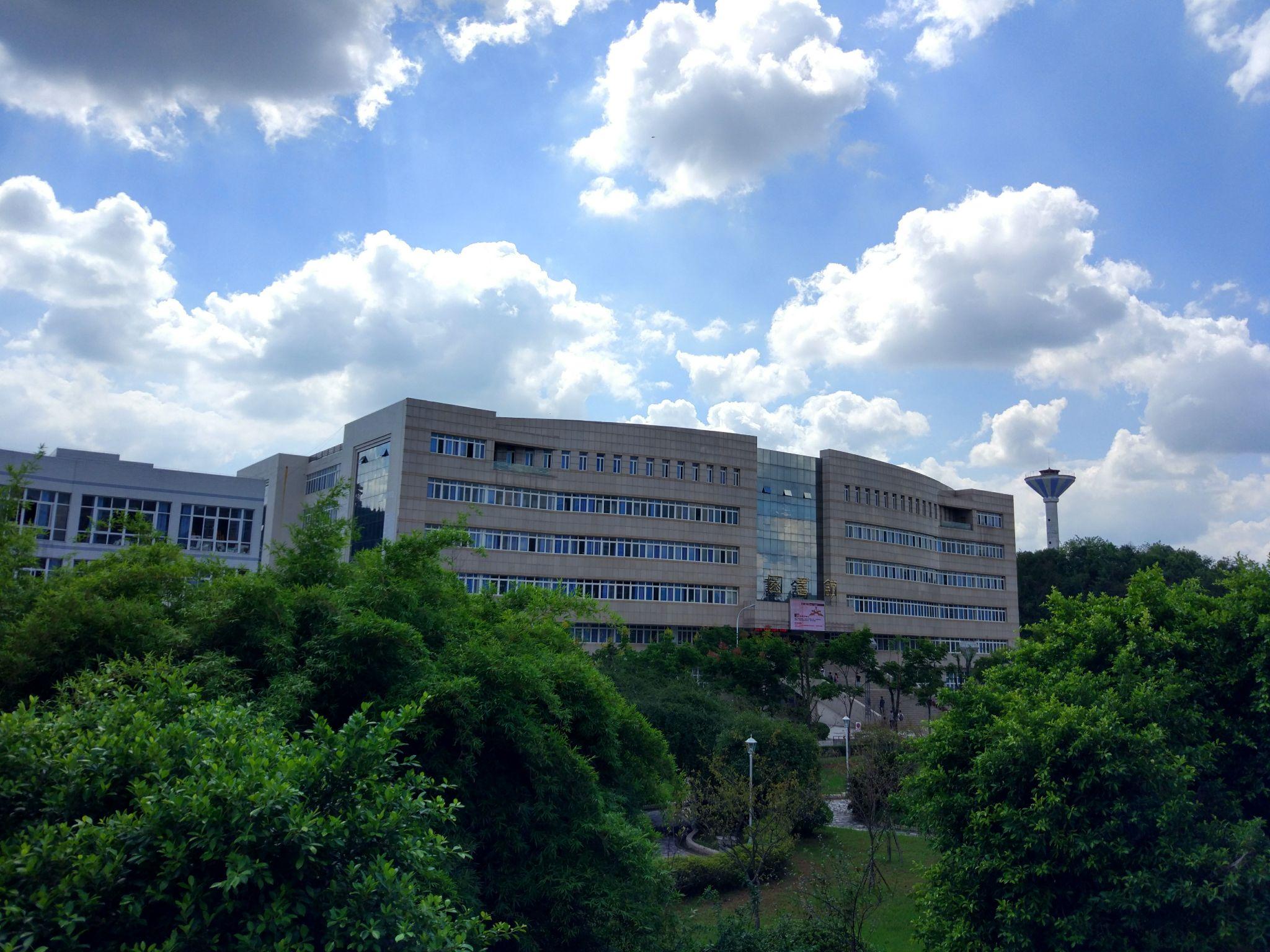 在西华师范大学就读的体验？