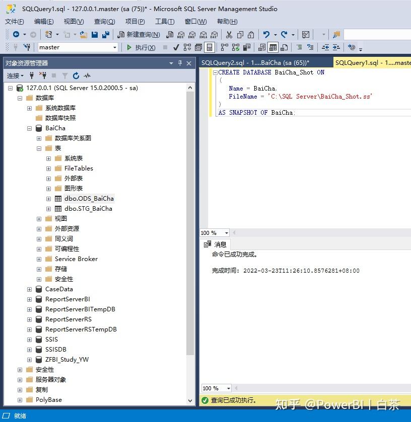 Bi sql snapshot 