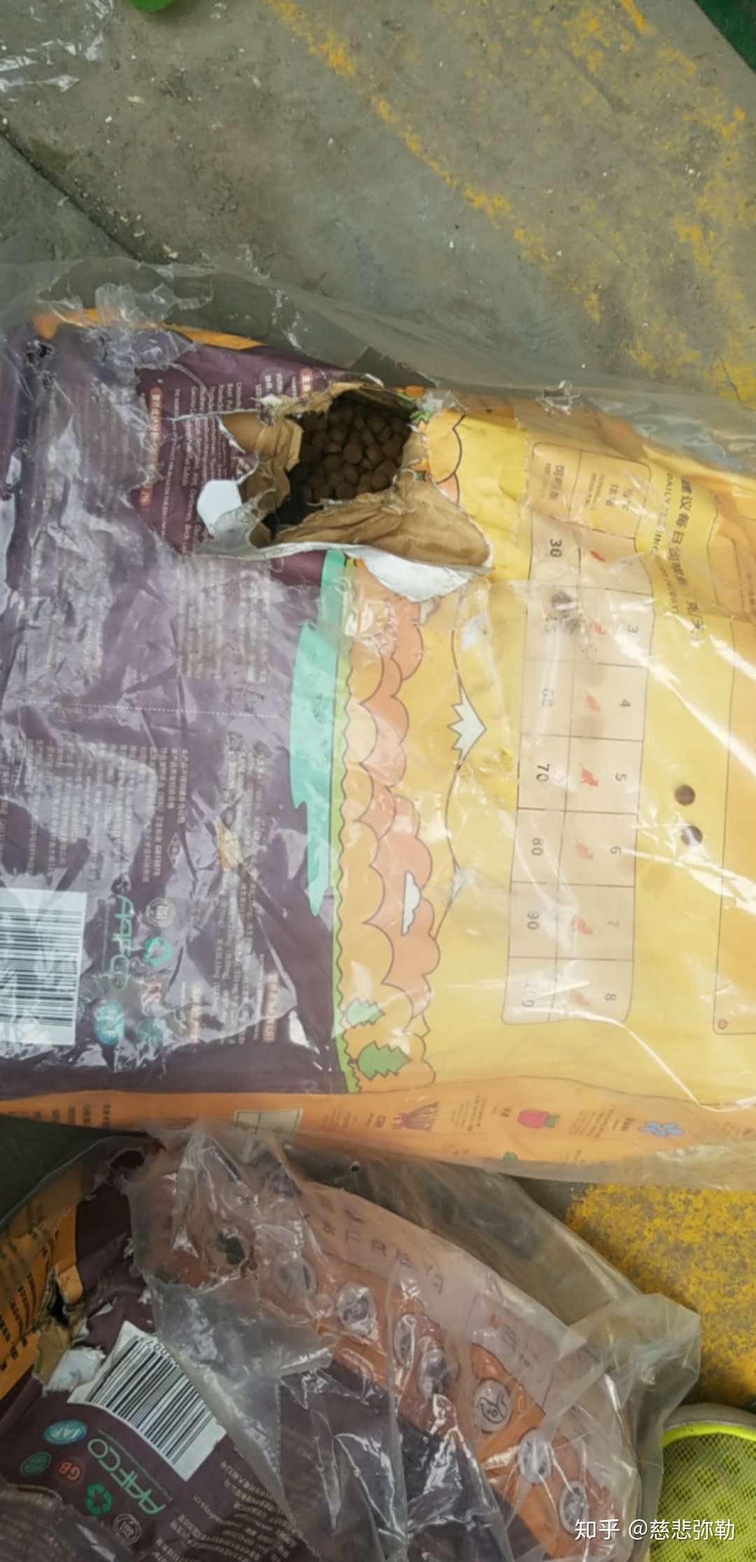 怎么给野猫超度-怎么给页面加边框