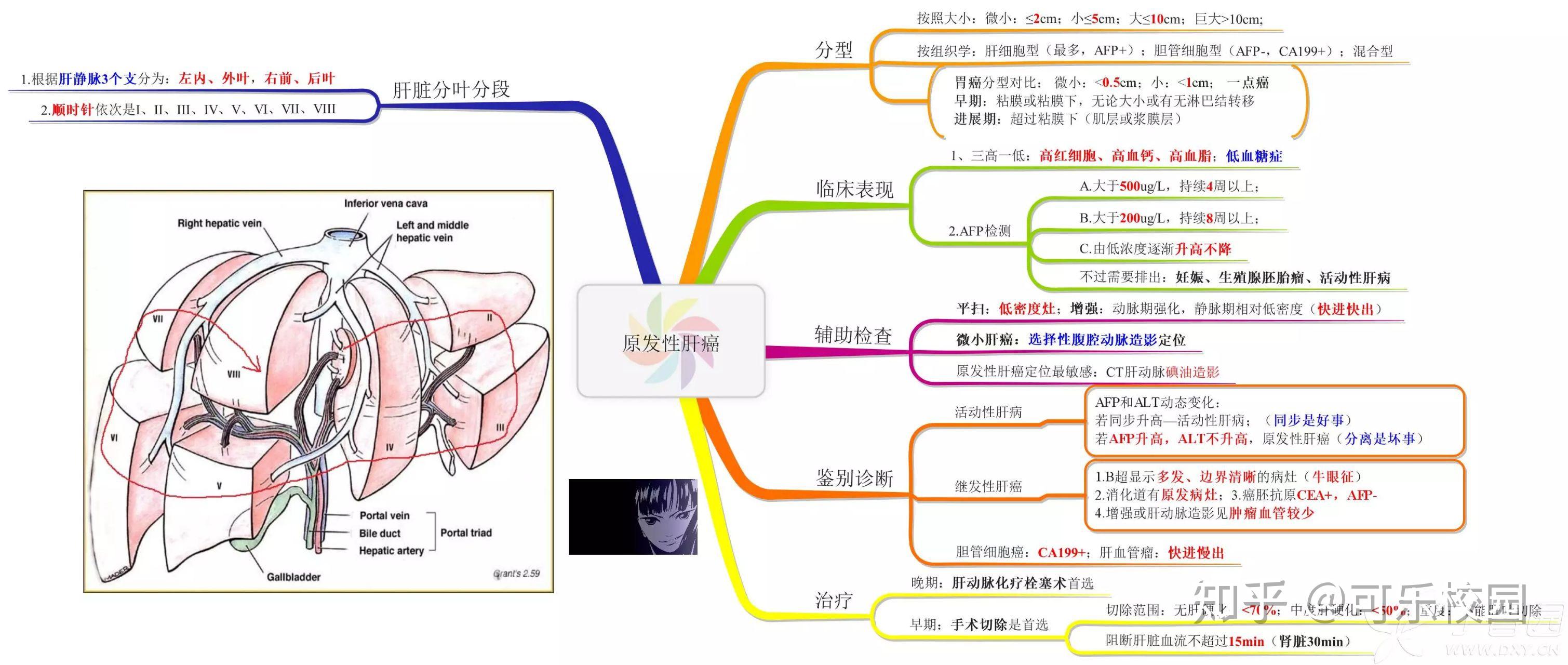 外科学思维导图