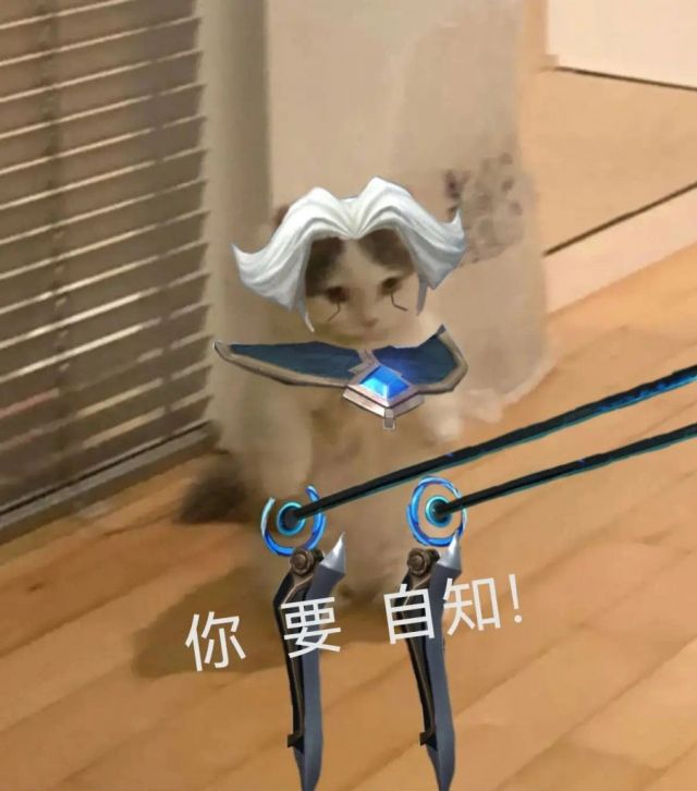 英雄联盟猫猫头表情图片