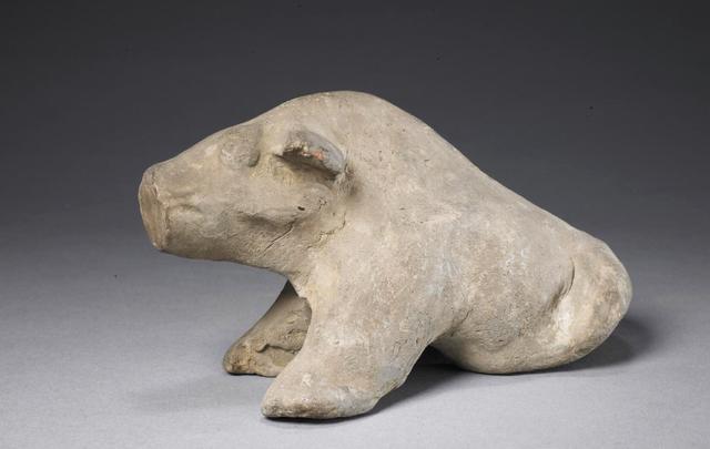 土猪这才是最正宗的