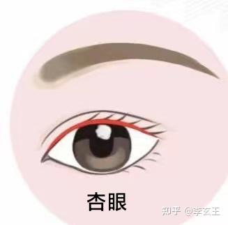 常见眼型解析,你了解自己的眼型吗? - 知乎