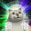 律律律