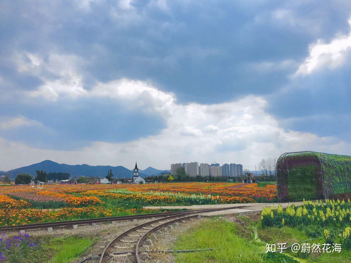 在蔚然花海可以坐幸福小火车,采摘草莓,饲喂萌宠,骑游花海,享受假日的