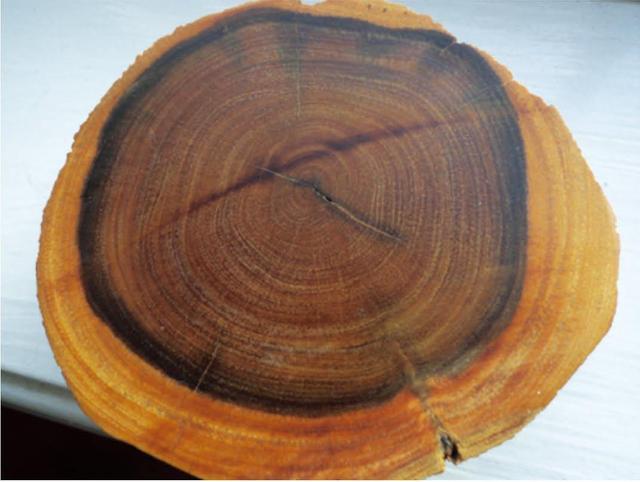 红木详谈木材的木质部与纹理