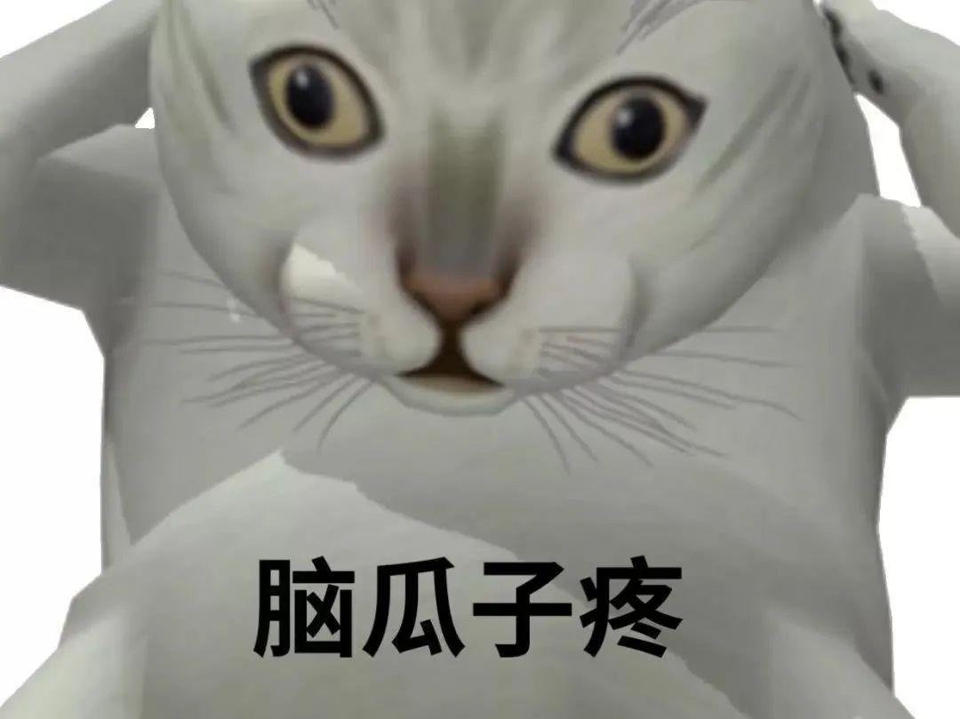 新增mur猫表情包 - 知乎
