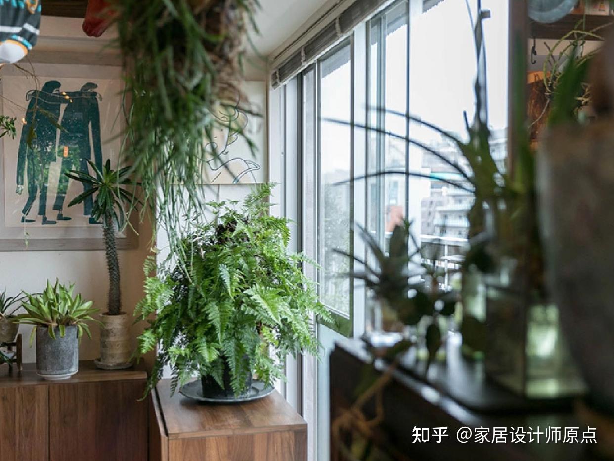 重庆一退休夫妇的家火了，全屋布置得满满当当，却自成规章，晒晒 - 知乎