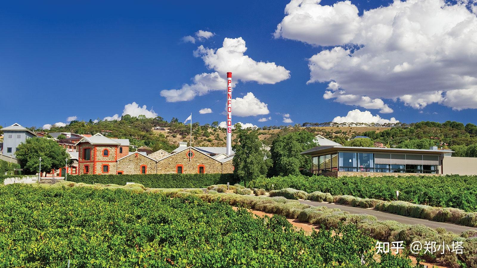 奔富葡萄酒是怎么一回事