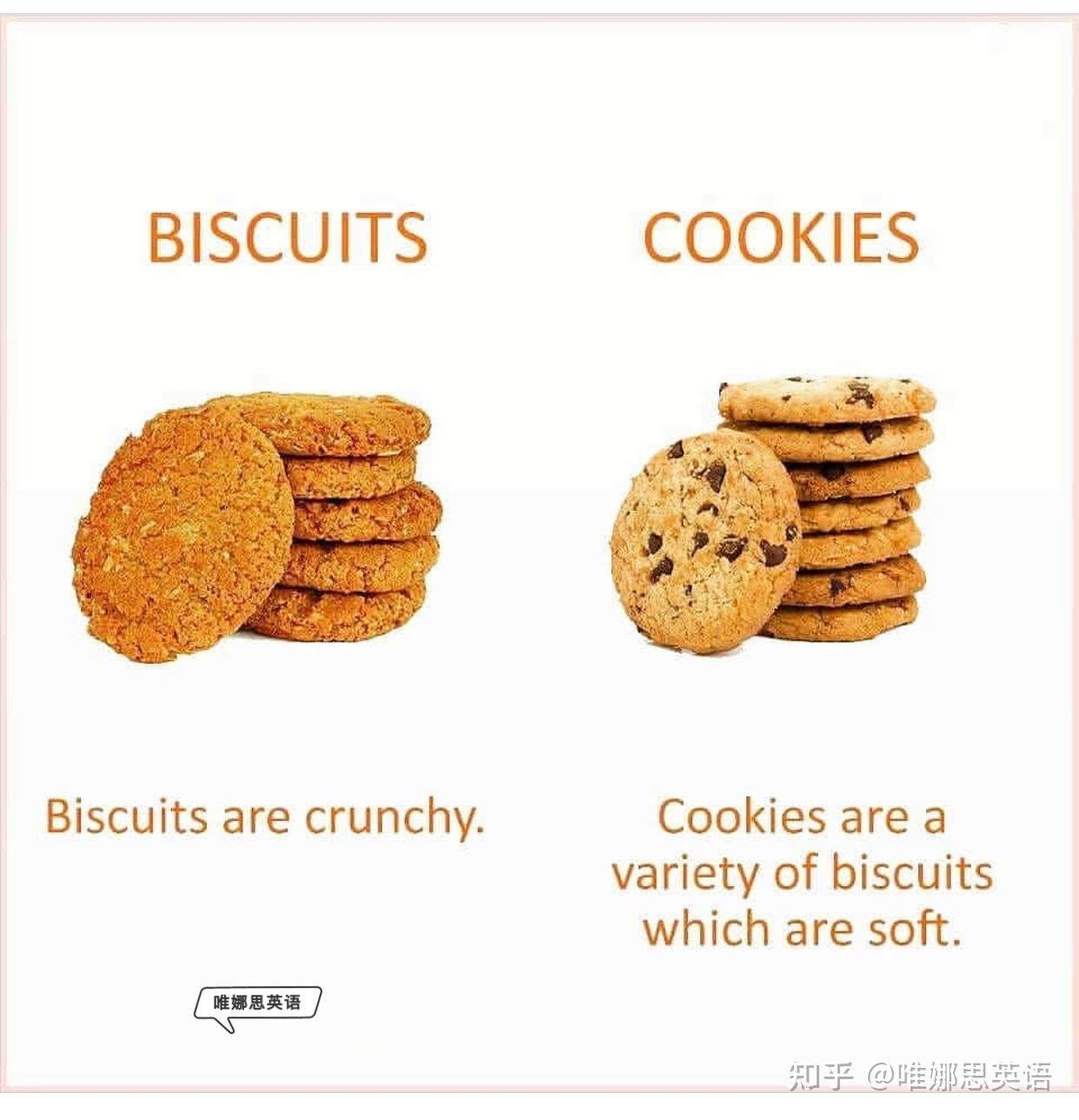 cookie和biscuit的区别 知乎
