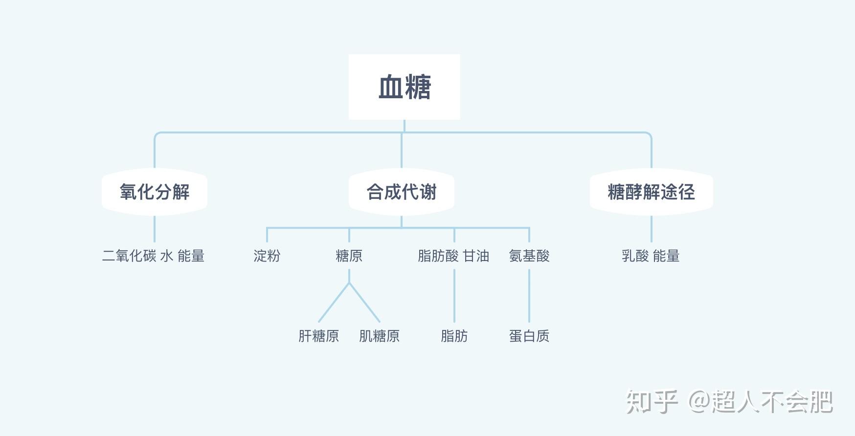 碳水化合物蛋白质图片