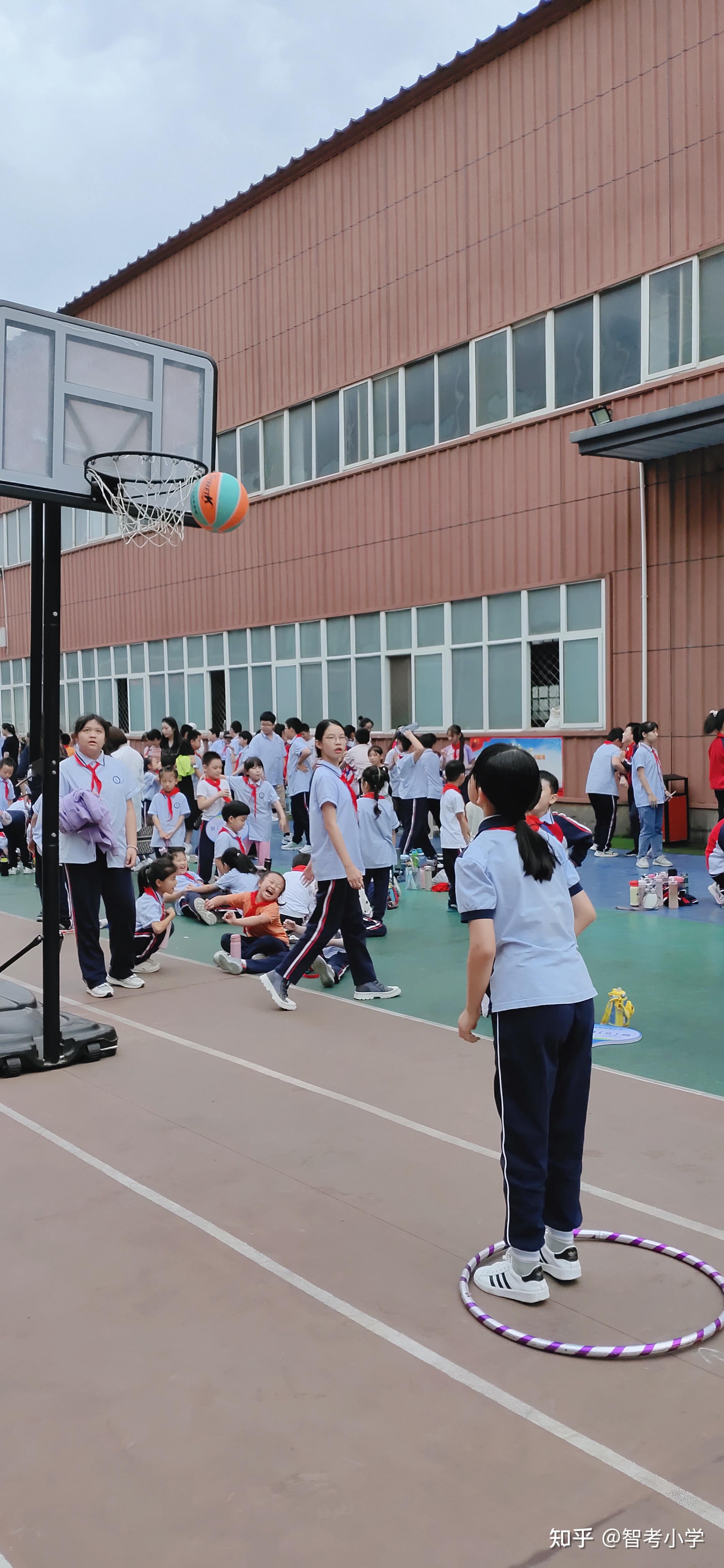 智考小学分享打赌一捆葱