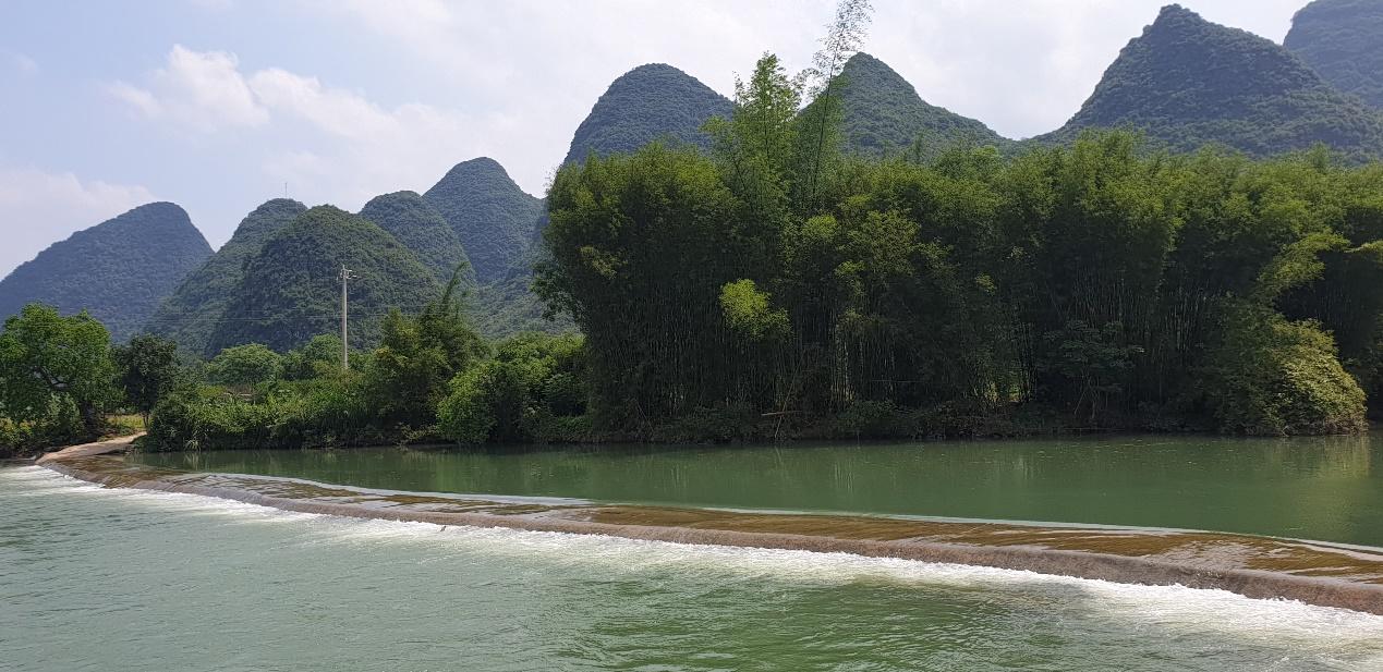 阳朔茶观园景区图片