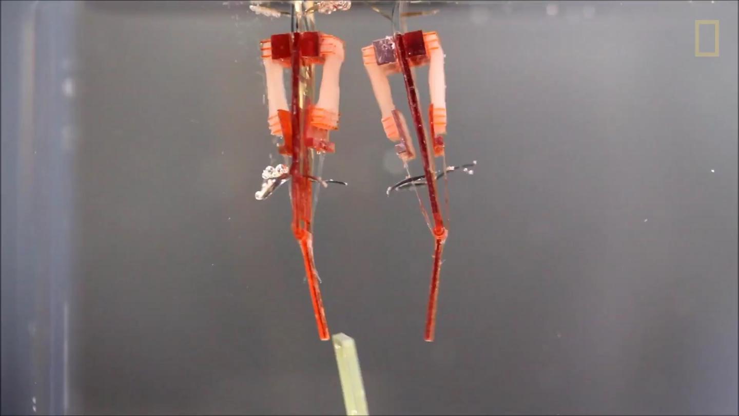 终结者机器人的内部结构 v2-b5e018a34a960a910593241b9a9d414c_1440w.jpg?source=172ae18b