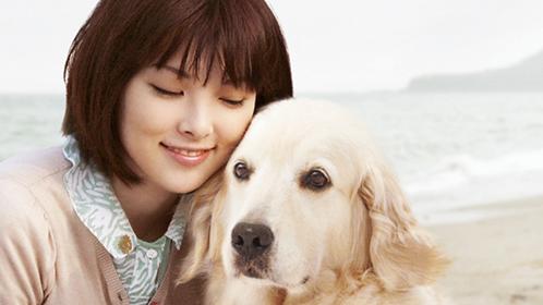 v2-b5ff0c8f1354572b20acdef47d81cdf8_1440w.jpg?source=172ae18b