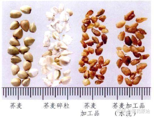带你识别柏子仁 - 知乎