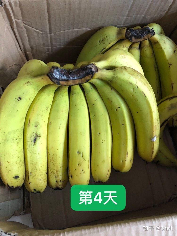 v2-b6086dcb78807db927842e640c46abaa_r.jpg