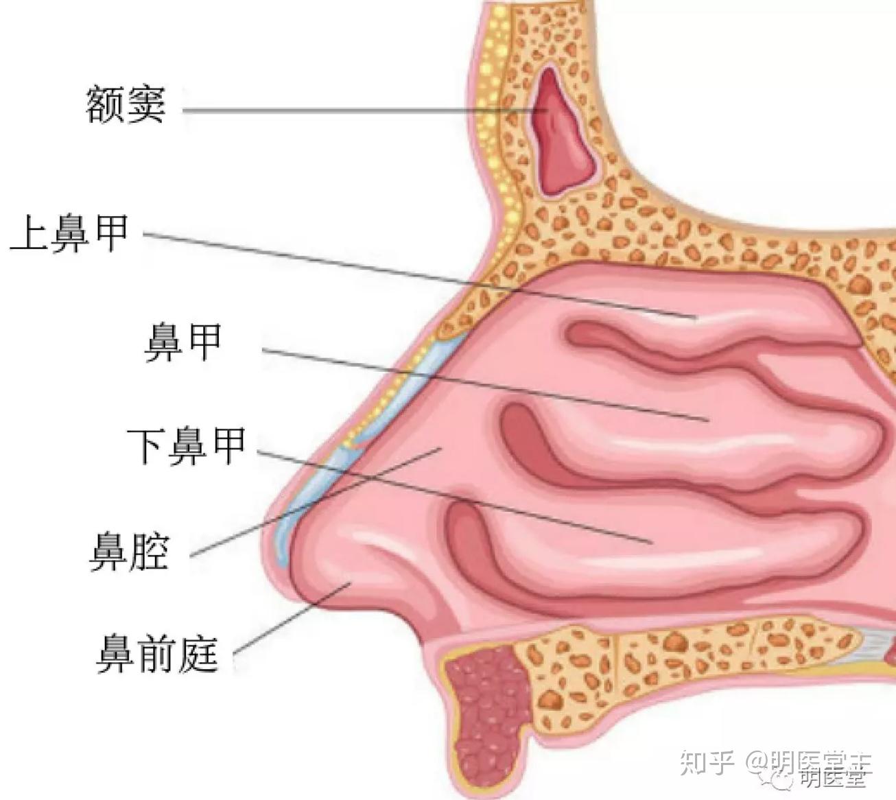 v2-b60f5c216cc55f326f2714288f8f587e_r.jpg