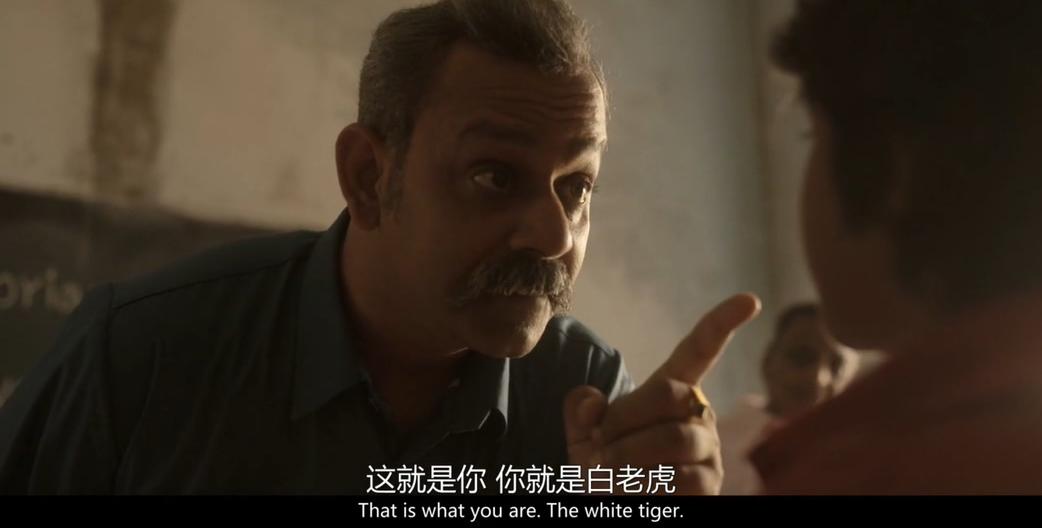 实际上这是一部关于印度的电影,白虎是主人公家乡的一个传说:在森林之