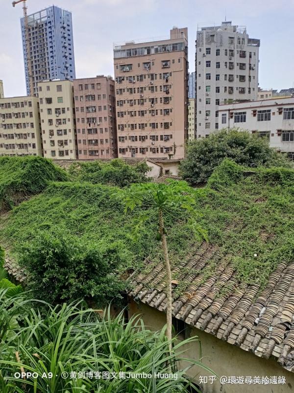 第1851回学历最高的城中村坂田岗头科技嬗变