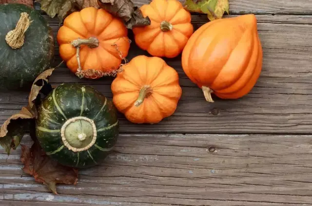 什么样的食物满足好吃、顶饿、低脂低热这几项