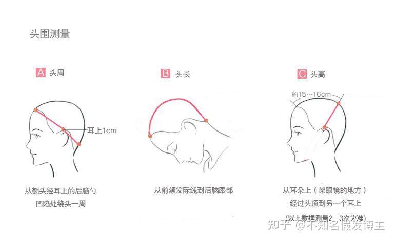 假发的头围测量需要三个数据,分别是头围