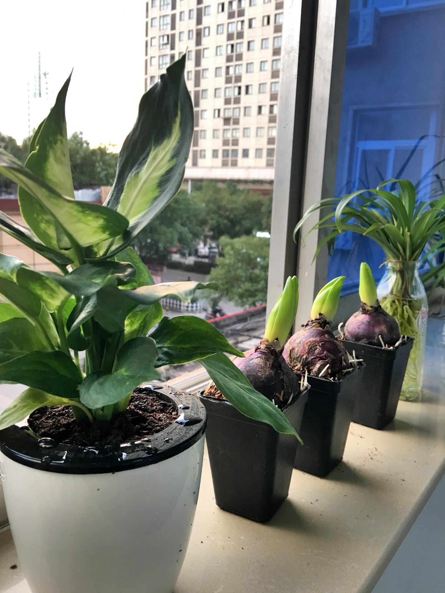 公务员在办公室无聊之时,该如何提升自己? - C