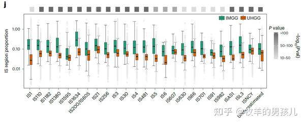 跟着nature Microbiology学作图：r语言ggplot2分组箱线图wilcox秩和检验 知乎 0510