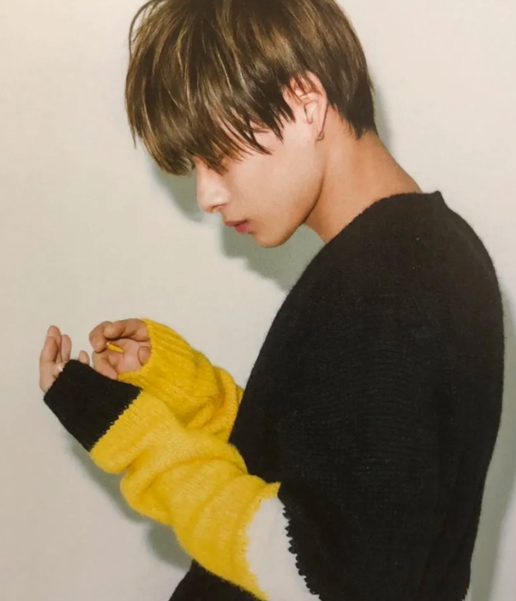 平野紫耀 & 平野莉玖  平野紫耀,king&prince的c位,日本现役顶流.