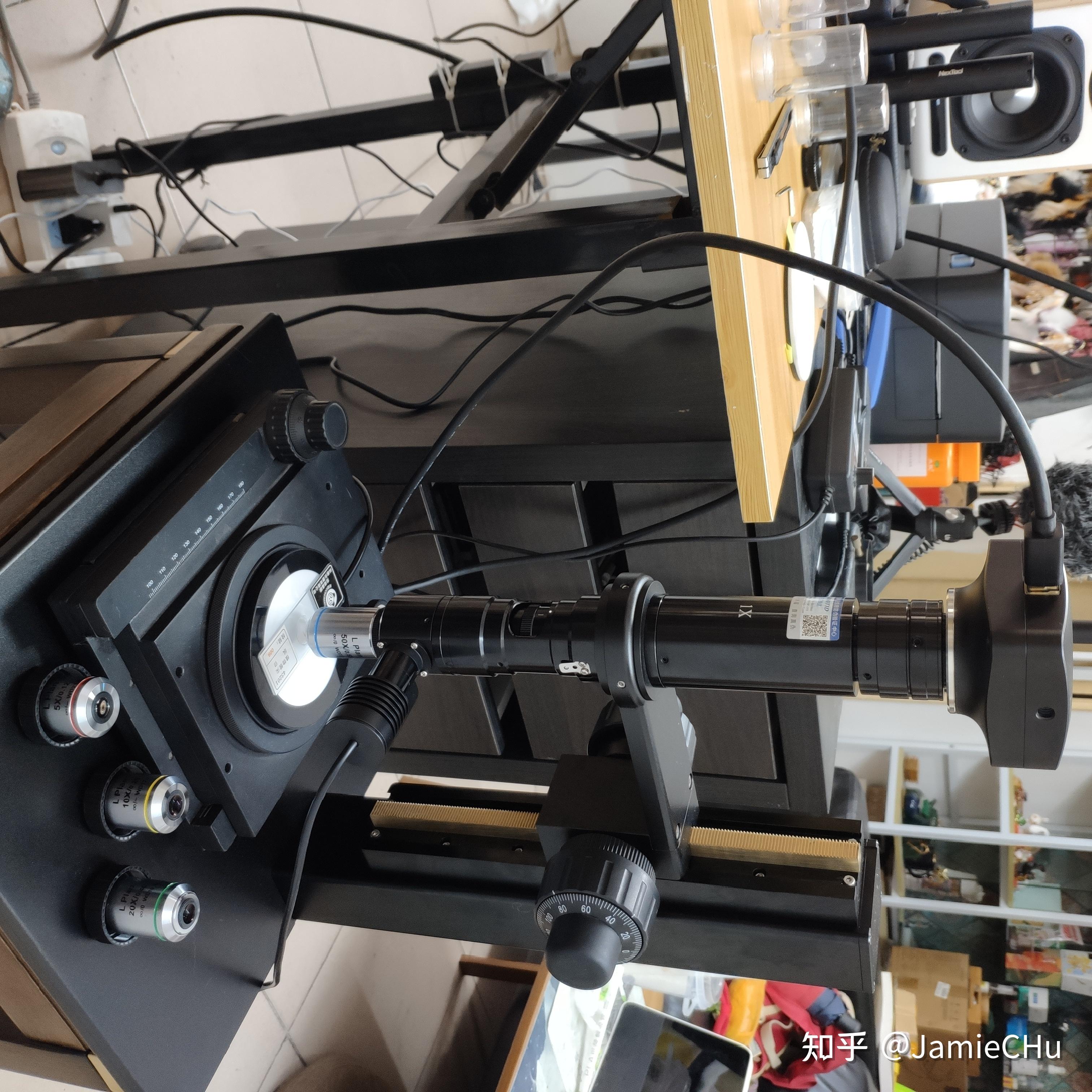 显微观察-实操看一组植物根尖纵切