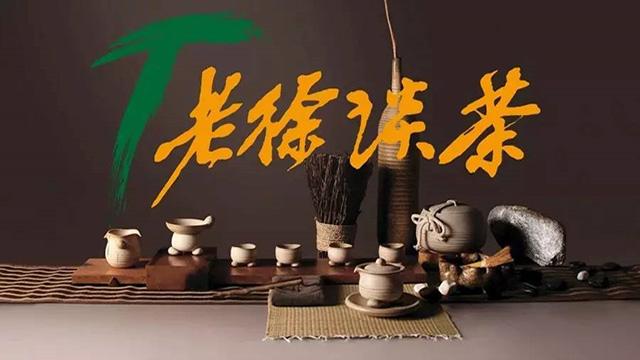 老徐談茶第131期視覺參與2019易武蠻磚頭春古樹茶採摘製作滋味值得