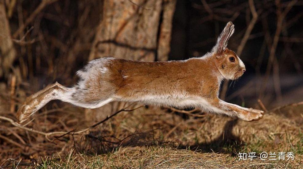 乐享人生静若处子动若脱兔
