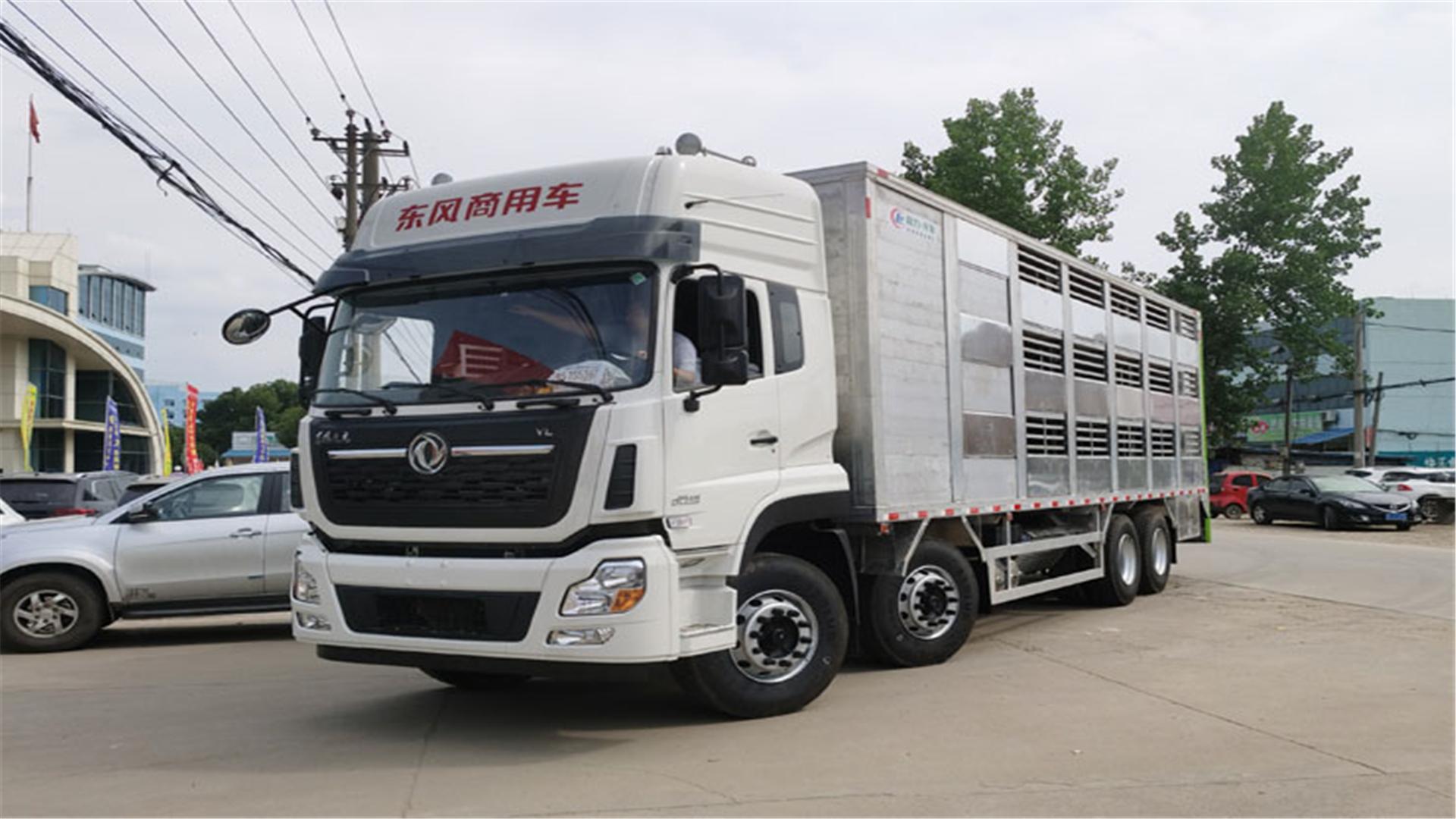 湖北禽苗运输车,拉猪仔的车,小型拉猪车 - 用车养车 - 王力汽车网