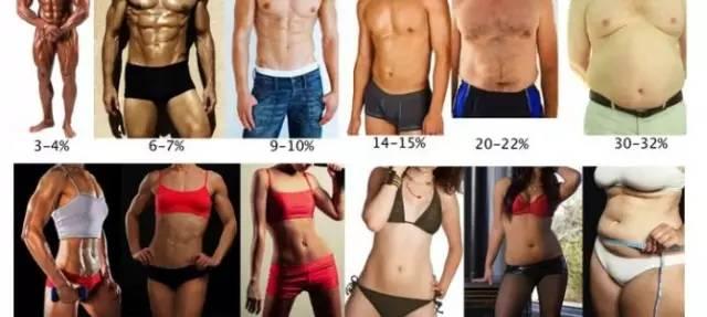 体 脂肪 率 理想 体脂肪率の理想は平均何 男性 女性の年齢別一覧と正しい測り方