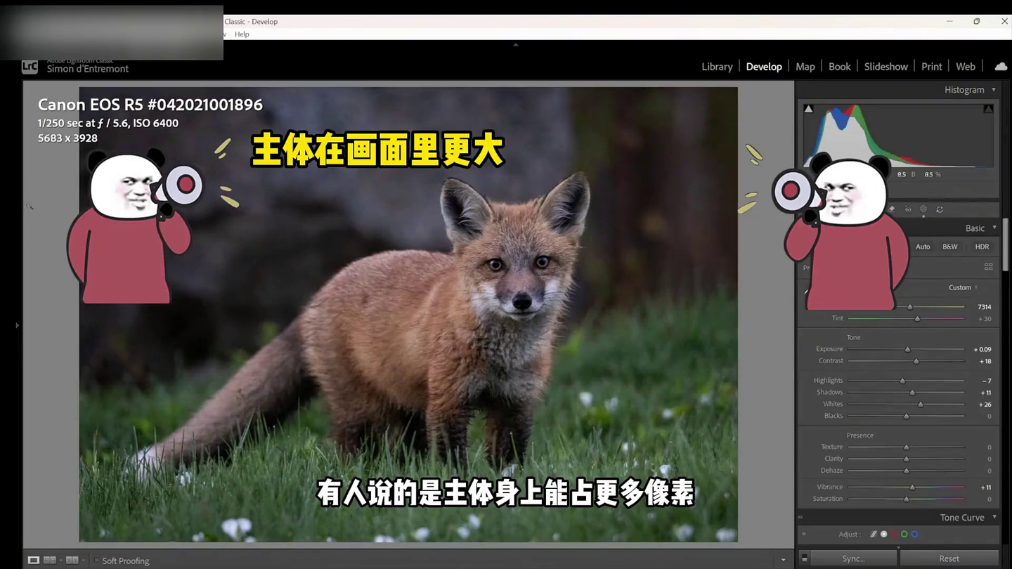 90% 人都搞错的 “拍得远” 真相 想提细节根本不用乱换器材