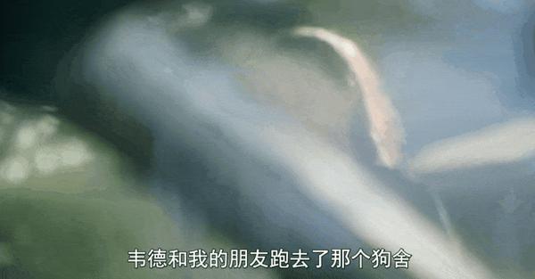 《史上最糟糕的前任第二季》今年最炸裂的前任大瓜!