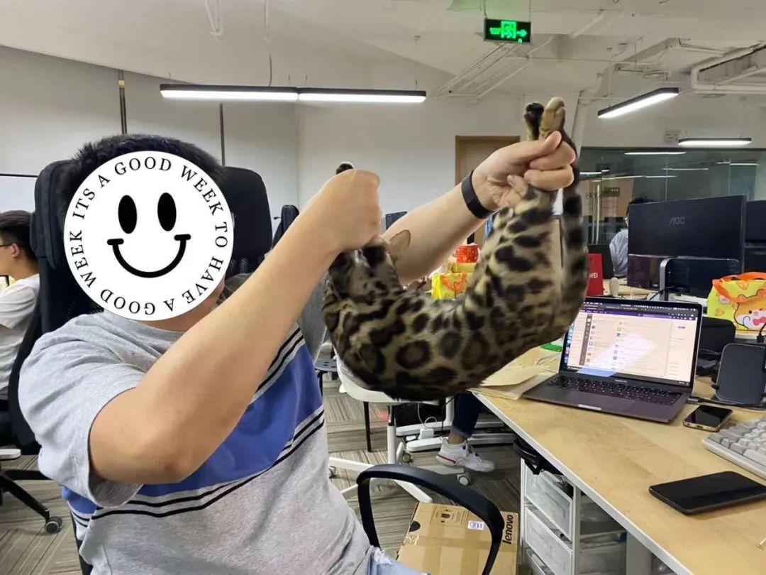 我司新入职的三名程序员鼓励师也太软萌了叭