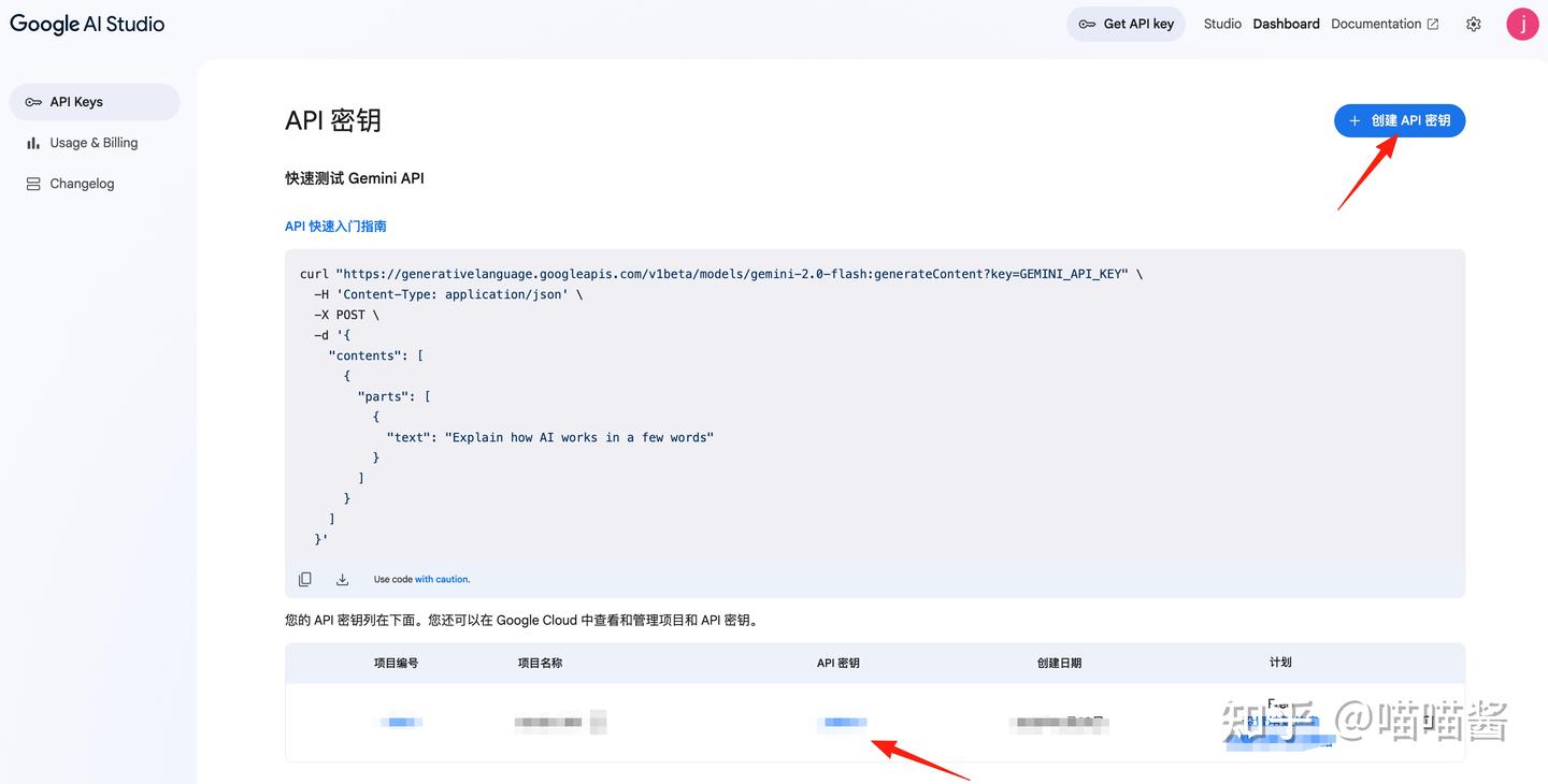 Gemini CLI 安装和使用教程（新手入门指南） - 知乎