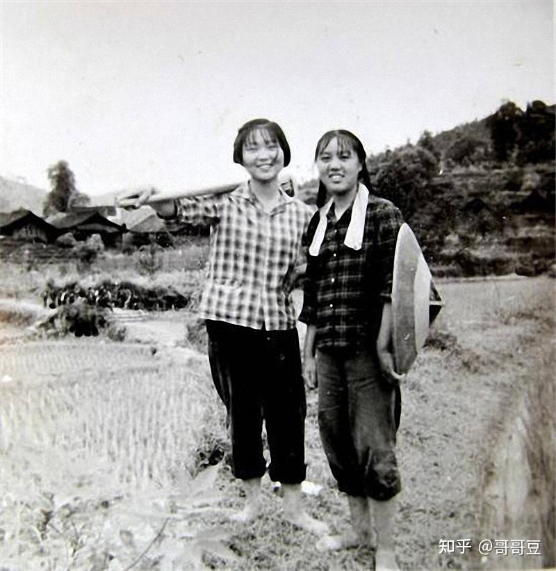 1972年上海女知青遇害被分尸凶手小姨子不小心说漏了嘴