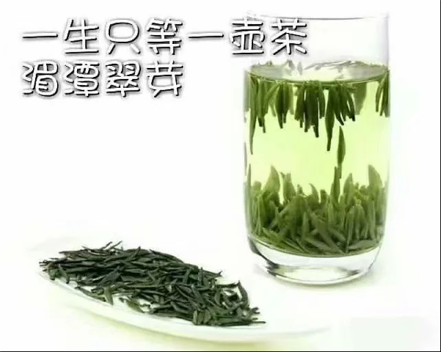 v2-b6d715465038e8e57d1f6079f59af43e_1440w.jpg?source=172ae18b