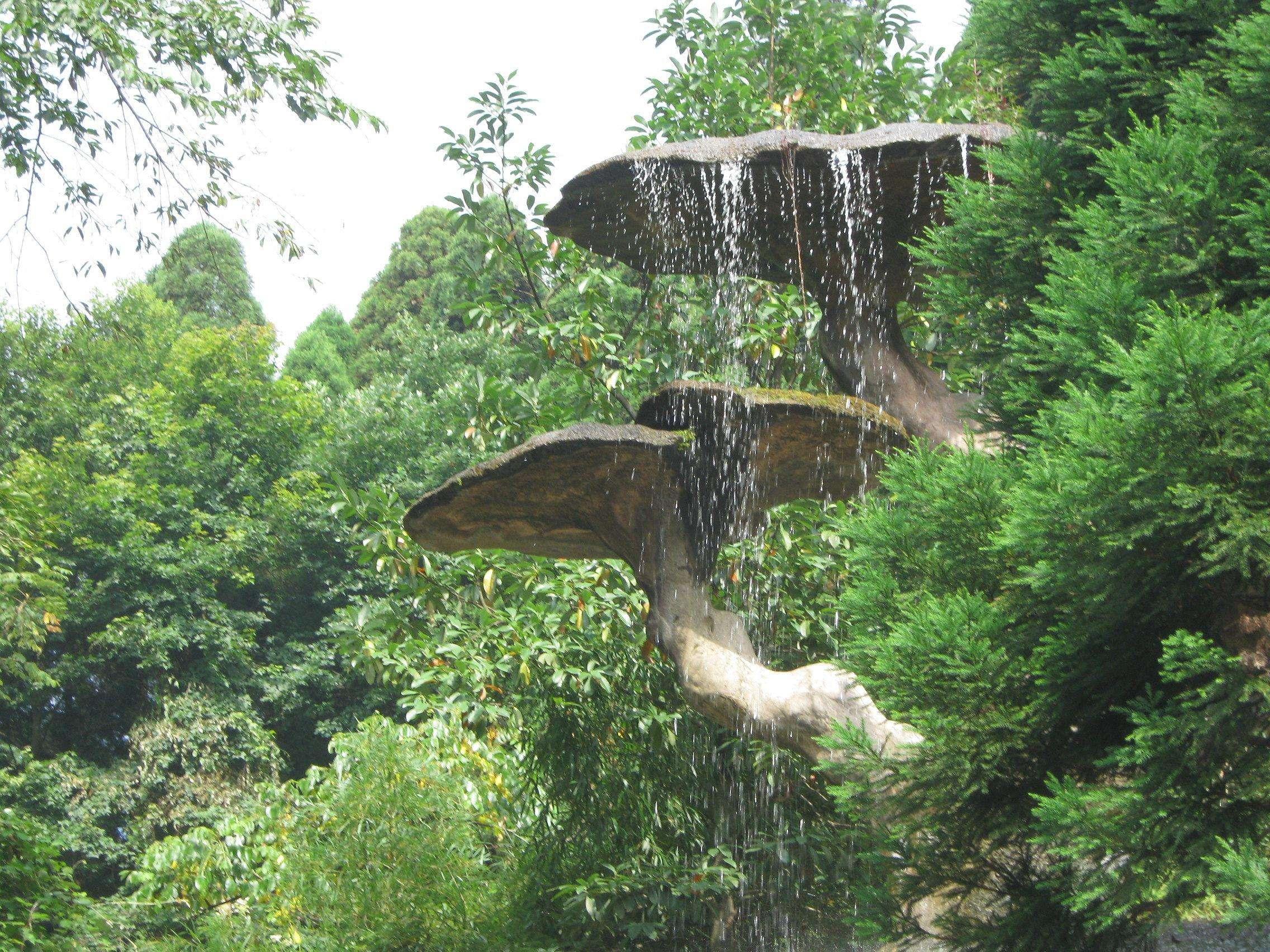 盘山而上,十八盘尽头,遥遥望见绿翳一抹,那便是过响水石,云门的青柯坪