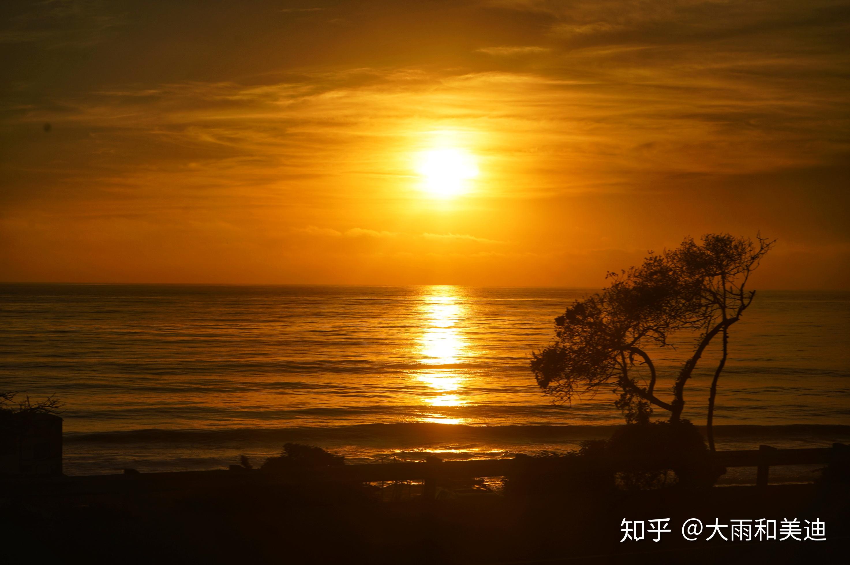 曼巴精神丨你见过凌晨4点的洛杉矶吗