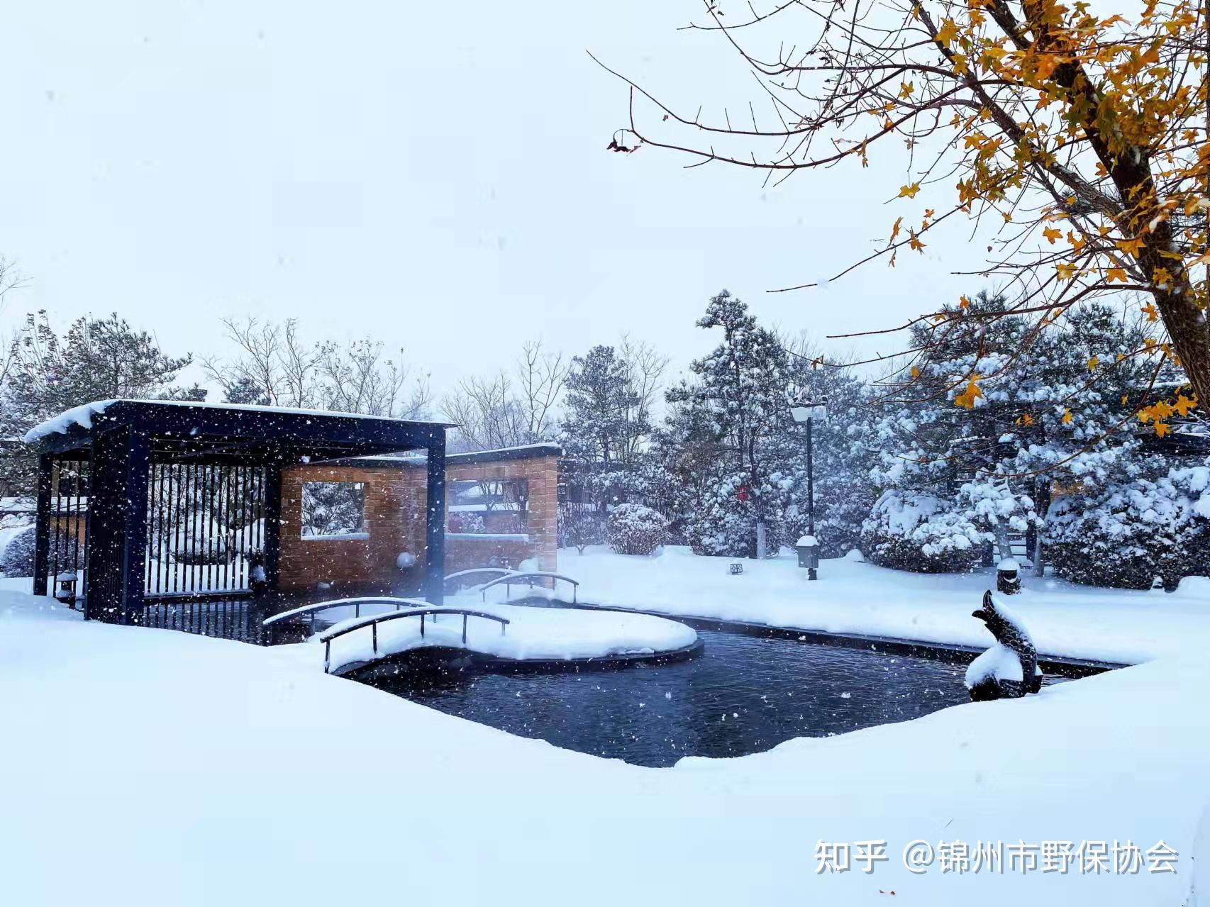 东方华地城冰雪大世界图片