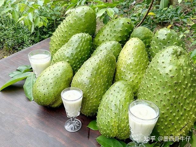 刺果番荔枝（Guanábana） - 知乎