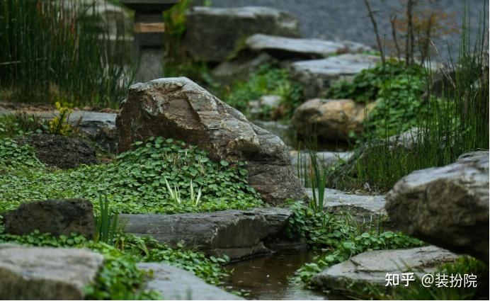 青岛装扮院花园设计│教你5种庭院立体绿化方法 - 知乎