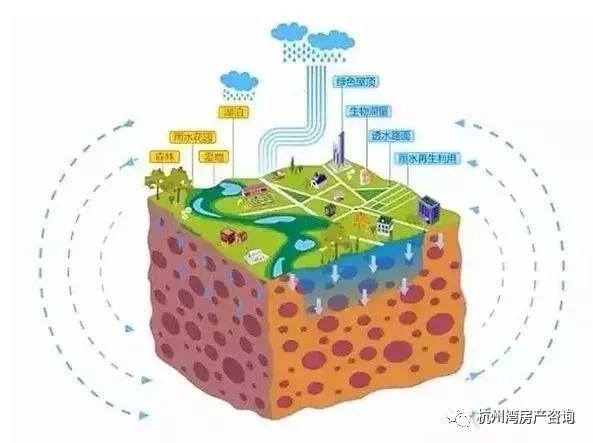 杭州灣新區前瞻性規劃論海綿城市的重要性