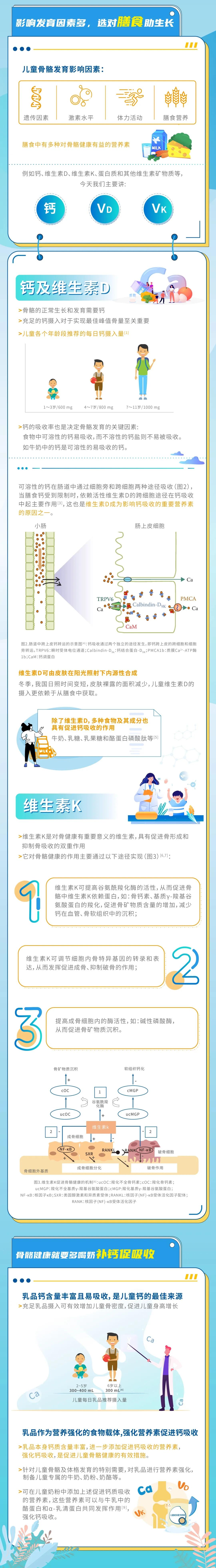 一图读懂儿童骨骼健康与营养 知乎 